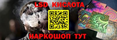 PSILOCYBIN Аша