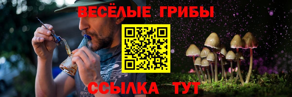 Галлюциногенные грибы ЛСД Петрозаводск