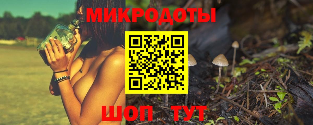 Галлюциногенные грибы MAGIC MUSHROOMS  Вход с VPN  как найти закладки  Петрозаводск 